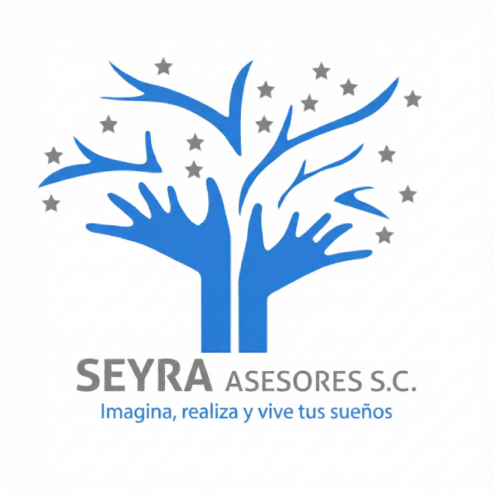 Seyra University